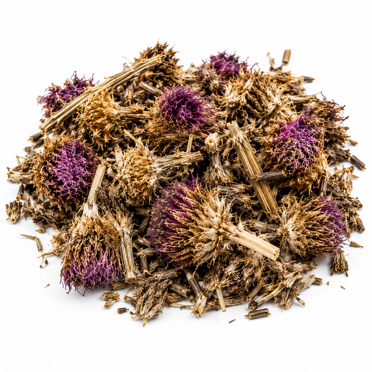 Cardo Mariano (Milk Thistle)