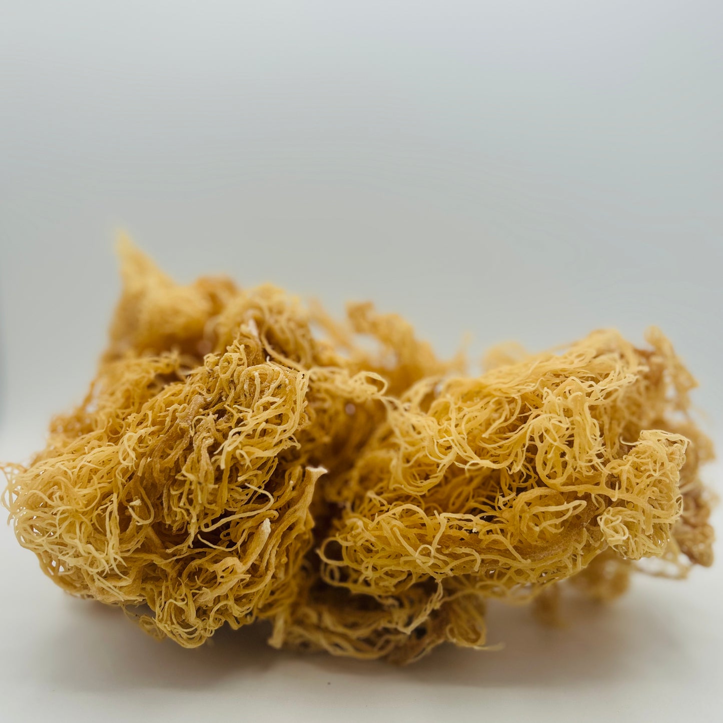 St. Lucia’s Wild Crafted Irish Sea Moss